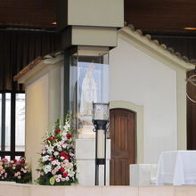 綺麗に撮れました