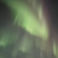 撮影スキルがないので綺麗な画像になりません。