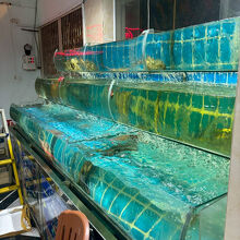 店内の生け簀　沢山の魚介類が入っています　大きなロブスターも