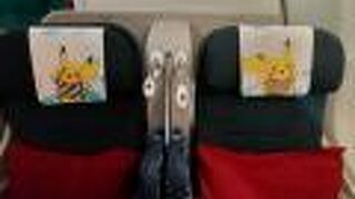 ガルーダインドネシア航空