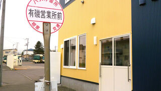 路線バス (根室交通)