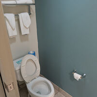 トイレ周りだけちょっと簡素さが目立つ