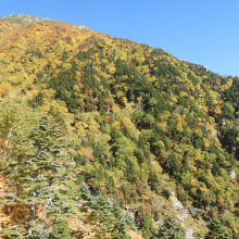 ロープウエイから見た景色