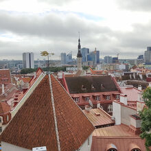 コフトウッツァ展望台