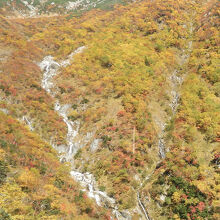 　紅葉色の斜面を縫うように流れる滝の様な急流