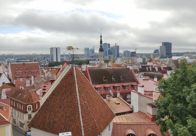 コフトウッツァ展望台