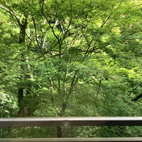 川沿いのお部屋から