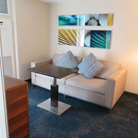 リビングルーム＆ソファーベッド