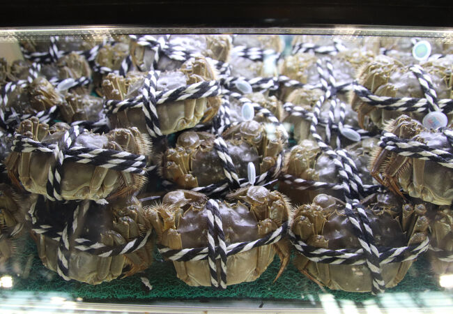 上海浦東国際空港