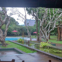 レストランからの眺め