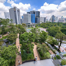 マイナスイオンが凄いぞ。