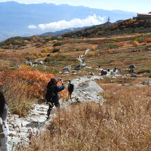 紅葉の中に造られた遊歩道