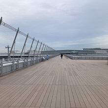 スカイデッキはガラガラで、飛行機撮影し放題。