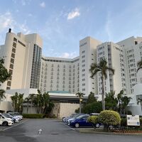 めちゃくちゃ大きい