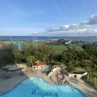 部屋から、夏はプールで泳げます