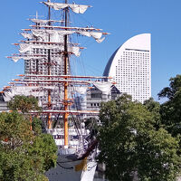 この感じとか、もうワクワクしませんか？