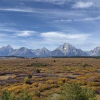 草紅葉が素晴らしい