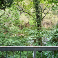 部屋からの眺めです。