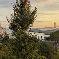 客室から正面の眺望です