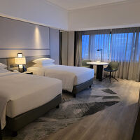 デラックスツイン