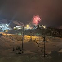 年越し花火が部屋から見えました