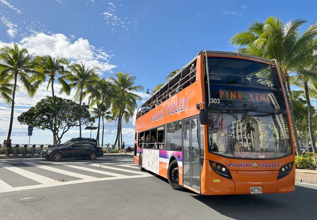 ワイキキトロリー ピンク・ライン