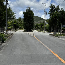 真謝集落のチュラフクギ。