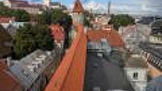 のっぽのヘルマン