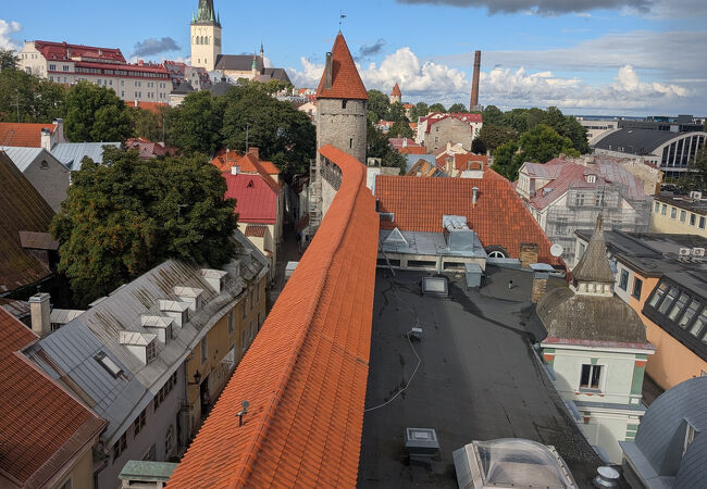 のっぽのヘルマン