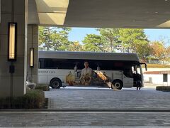 パラダイス シティ 写真