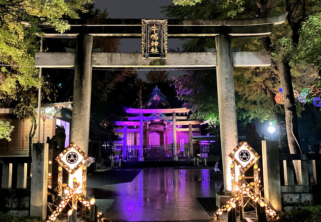 今年で4年目｜･ω･)ﾉﾞﾟ･*:･ﾟ☆ 2025年11月7日（金）～ 竹あかりライトアップイベントを開催☆彡