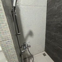 シャワーのみ。バスタブはありません。