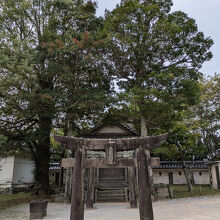 唐津城 / Karatsu Castle