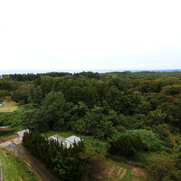 部屋からの眺め