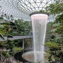 ジュエル (チャンギエアポート)