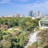 ガーデンビューの眺望