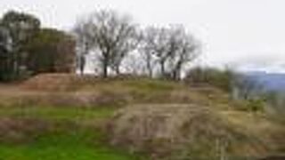 新沢千塚古墳群