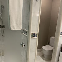 バスルームの左側にシャワーブースとトイレ