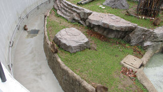 観察することができました