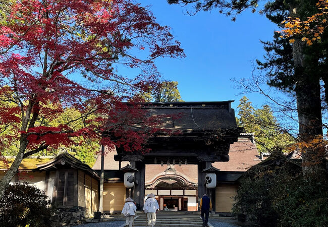 千住博画伯の障屏画が素晴らしい