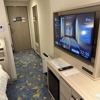 テレビおっきめなのもいいですね！