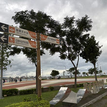 憩いの場所になっていました♪