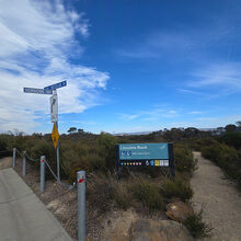 駐車場から臨む