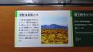 群馬県立歴史博物館