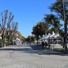 ヒッポドローム