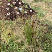 ここも裏側ツアーで見学できる場所