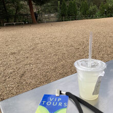 疲れたらカフェへ。