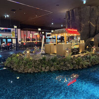 多国籍フードコートも圧巻でした。