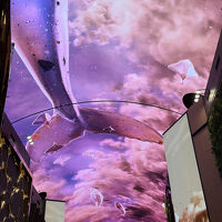 圧巻の映像ショー