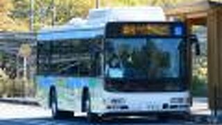 路線バス (西武バス)